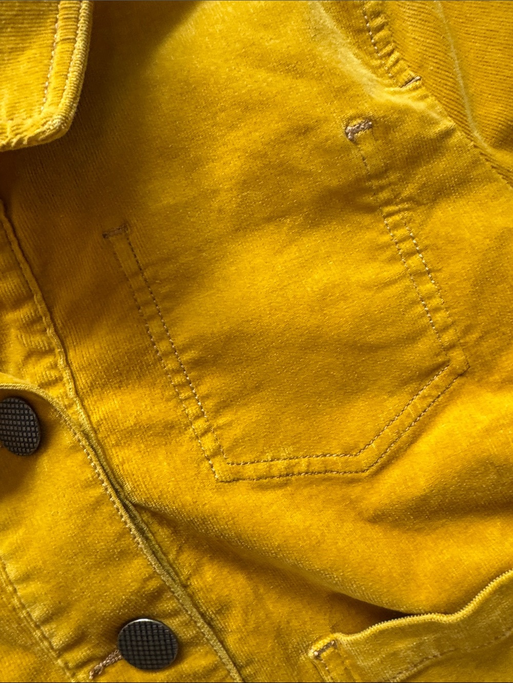 CAbi Small Golden Yellow Top with Label Detail Size: Small - Picture 4 of 12